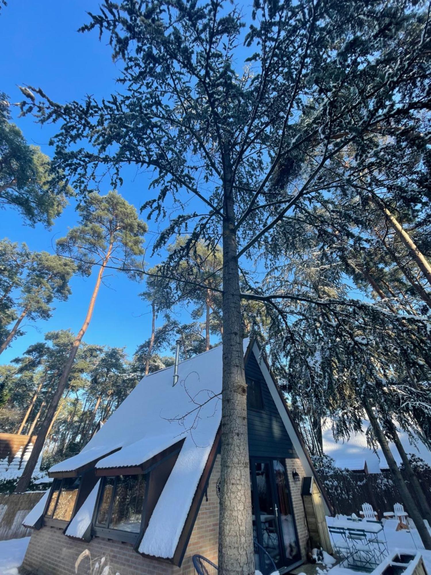 Boshuisje Pinus Sonnevijver Residences 라나켄 외부 사진